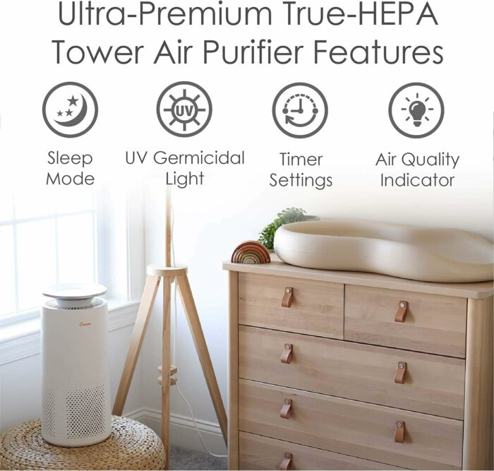 Crane Air Purifier with True HEPA Filter, 500 Sq Feet Coverage, Timer Function, Sleep Mode, Built in Air Quality Monitor, EE-5069 : Everything Else