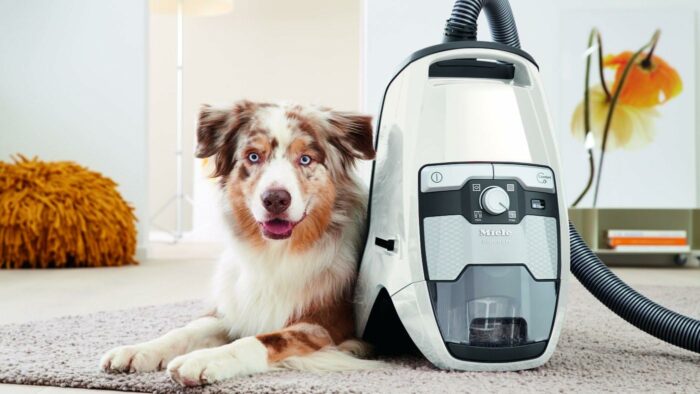 Miele Blizzard CX1 Cat Dog Bagless Canister Vacuum, Lotus White - Pet Hair, Portable